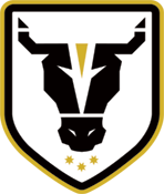 Logo Bulls Academy Women