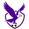 Logo Boroondara Eagles Women