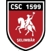 Logo Selimbar