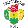 Logo Ammanford